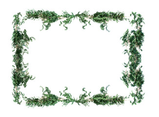 rectangular frame made of branches of trees on a white background 3D render