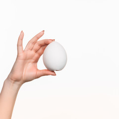 Fototapeta na wymiar Hand holding a egg on white background