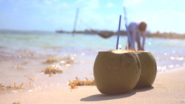 Coconuts on the caribbean shore in the background a kid playing with sand. 4k