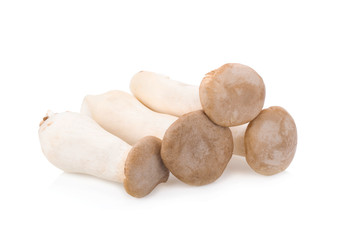 King Oyster mushroom (Eringi) on white backgroud.