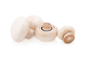 Champignon Isolated on White Background
