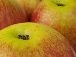 red and green apples closeup, macro, focus on remains of stamens and sepals