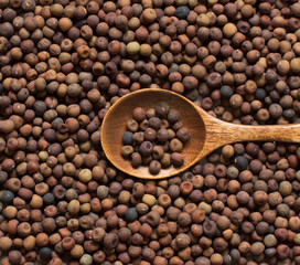 Raw organic roveja beans with a spoon