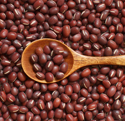 Raw azuki beans with a spoon