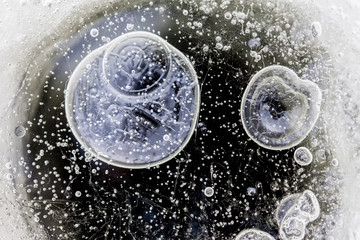 abstract air bubbles inside the ice macro closeup