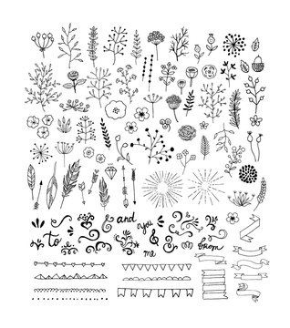Hand Drawn vintage floral and decor elements. Vector. Isolated.