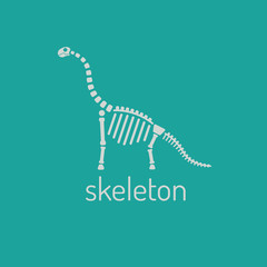 Dinosaur skeleton. Sauropod. Vector Image sauropod isolated on green background. © npaveln