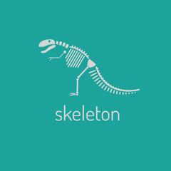 Dinosaur skeleton. Megalosaurus. Vector Image isolated on green background. © npaveln