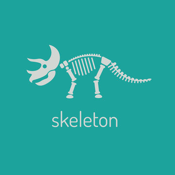 Dinosaur skeleton. triceratops. Vector triceratops isolated on green background