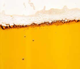 beer in glass, closeup