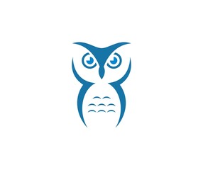 Obraz premium owl logo