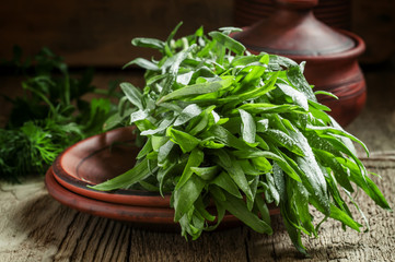 Fresh green tarragon in a beam in an earthenware pot on the old - obrazy, fototapety, plakaty