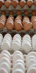Eggs for sale on  a market