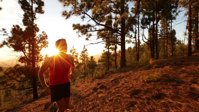 Running runner man athlete training outdoors exercising on mountain forest trail at sunset in amazing landscape nature. Fit handsome athletic male working out for marathon run outside in summer.