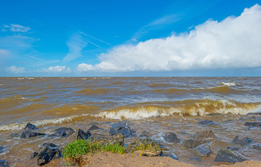 Dike along a stormy sea in spring
