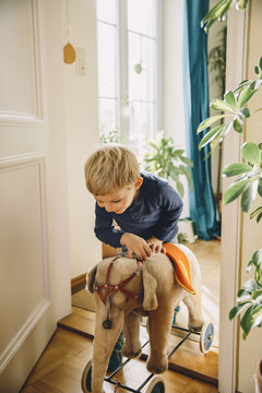 Boy Entering A Room With Old Plush Elephant