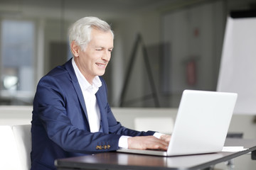 Senior businessman portrait