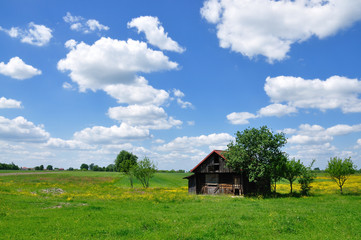 Fototapeta na wymiar Summer landscape with abandoned farm house