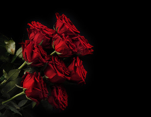 Fototapeta premium Red roses on black