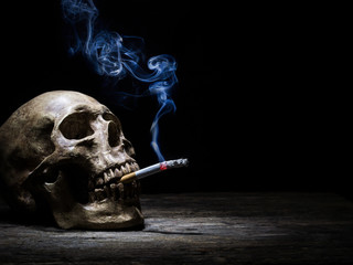 Still life skull and cigarette people smoke cigarette and get to © panya168
