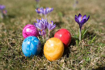 Ostereier im Garten