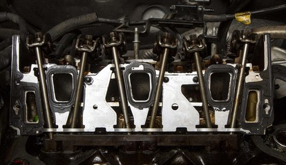 Intake Gasket
