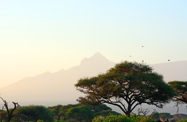 The Mawenzi Peak of Kilimanjaro, Amboseli National Park, Kenya