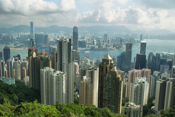 Obraz premium View of Skyscrapers in Hong Kong island