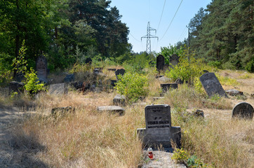 Zdewastowany cmentarz żydowski w Otwocku - obrazy, fototapety, plakaty