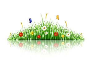 Spring green grass with flowers and butterflies on white background