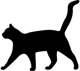 cat silhouette vector