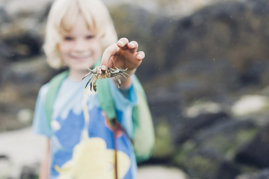 Boy holding crab on beach