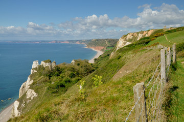 Hooken undercliffs
Jurassic Coast, Branscombe, Devonshire, England, United Kingdom