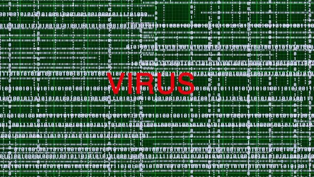 Computer binary code infected with a virus. The virus is detected after causing damage to the binary code.