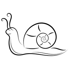 Doodle hand drawn abstract snail