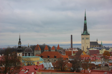 Obraz premium Panoramic view of Tallinn from above. Roofs of brick color.