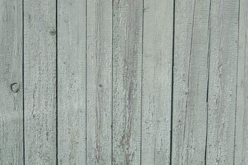 Naklejka premium light green wooden planks, wood background