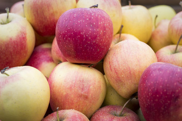 Red apples at the local market