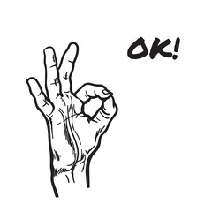 Hand showing OK. Painted vector hand. All perfectly. Everything is fine. Good. Fingers do the ring. OK symbol. Isolated hand. One hand. Painted illustration of hands. Symbol everything is fine. 