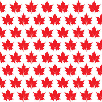 Red Maple Leaf. Vector illustration and icon.