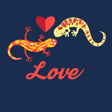 Graphic beautiful lovers salamanders