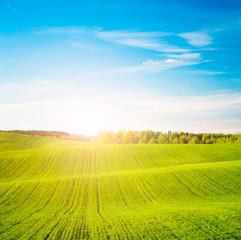 Spring Landscape with Green Field and at Sunset