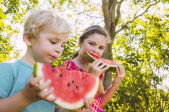 Children eating slices of watermelon in garden