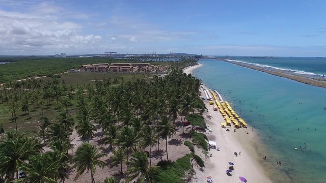 Aerial View of Muro Alto Beach, Pernambuco, Brazil