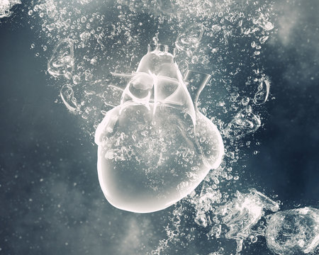 Human Heart Under Water