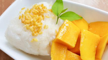 Mango on the sticky rice with coconut milk