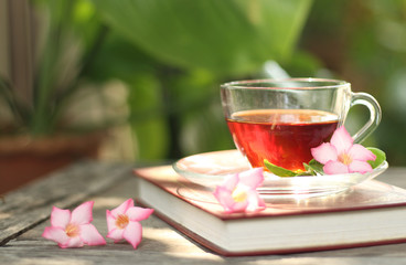 Cup of tea and mint on a wooden background