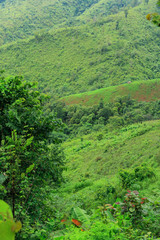 A natural geological wonder of limestone mountain, Laos