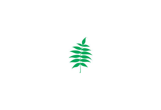 Fern leaf Isolated plant on white background logo