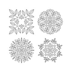 Vector Floral Elements. Vector Printing for Natural Products. Linear Style. Abstract vector illustration.